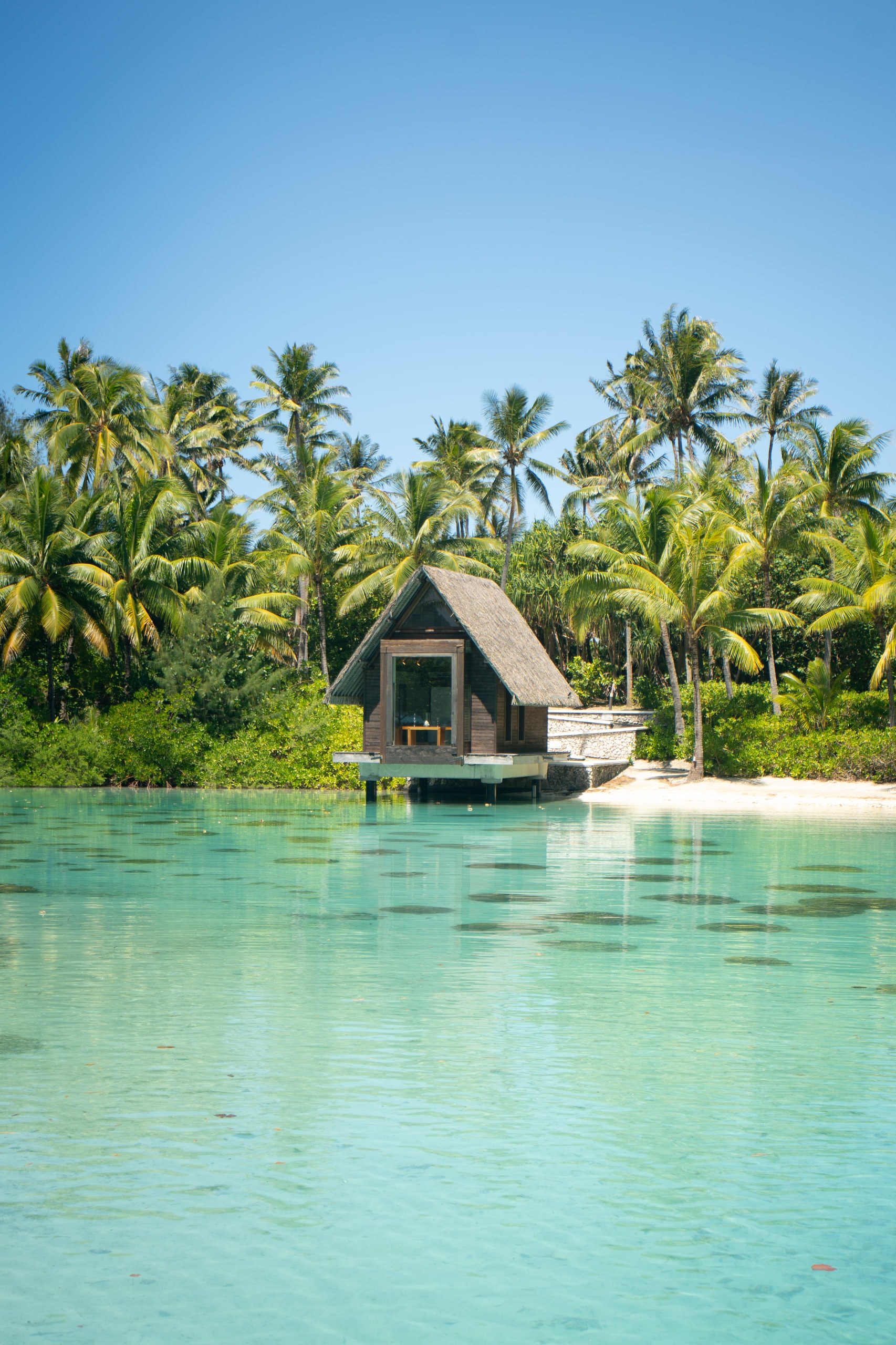 A thatched cabin among palms at the edge of a lagoon