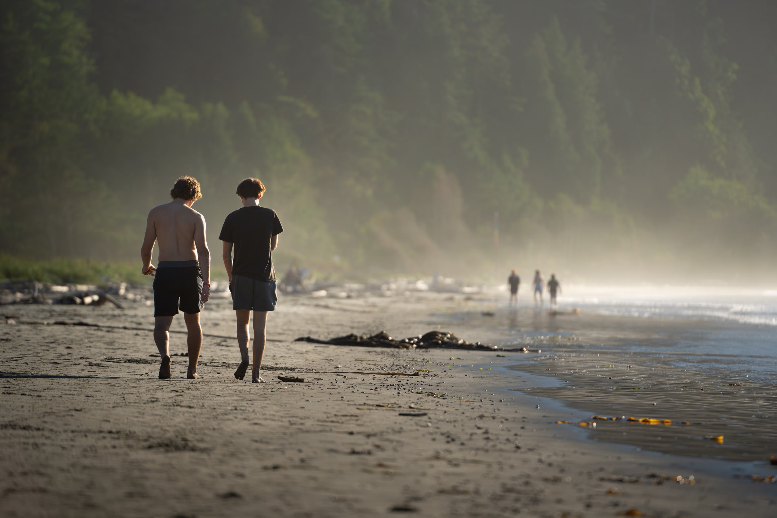 Two people walking a misty beach below a wooded headland