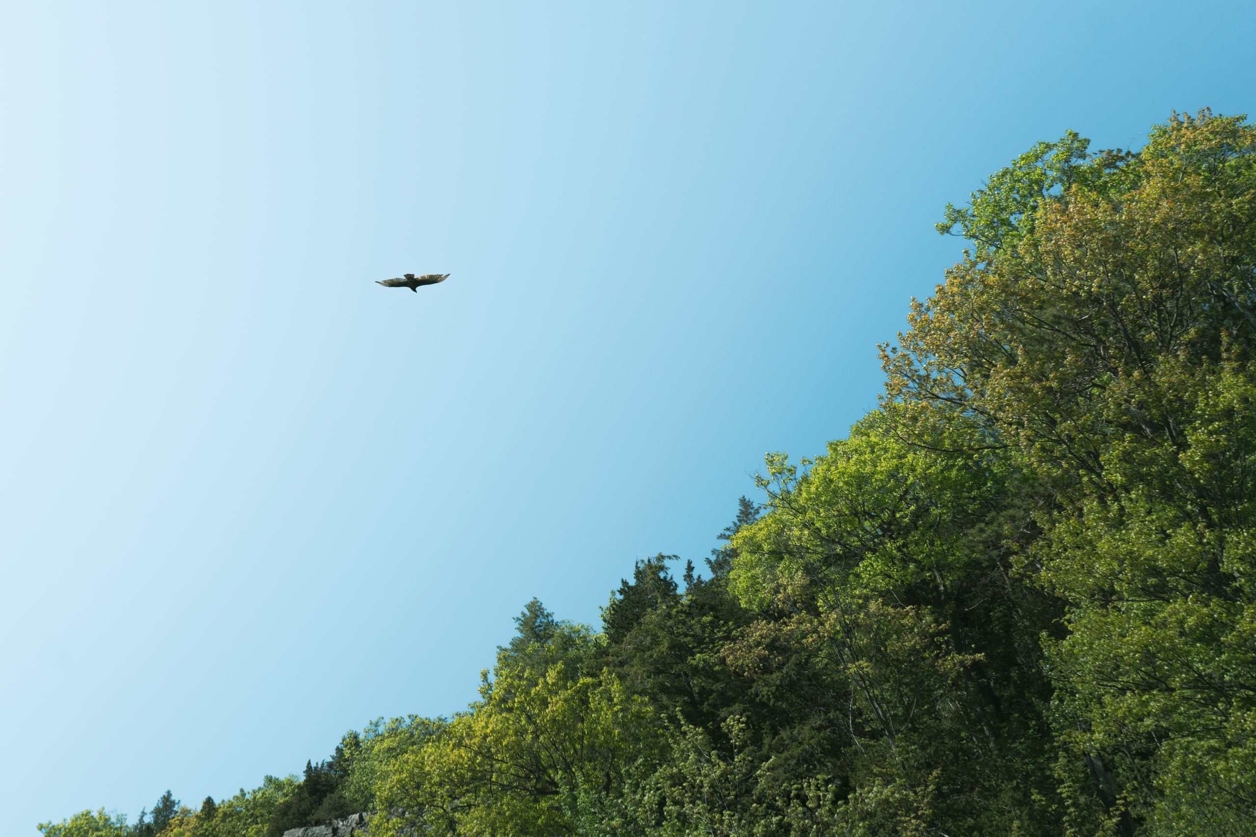 A distant aircraft above a wooded ridge