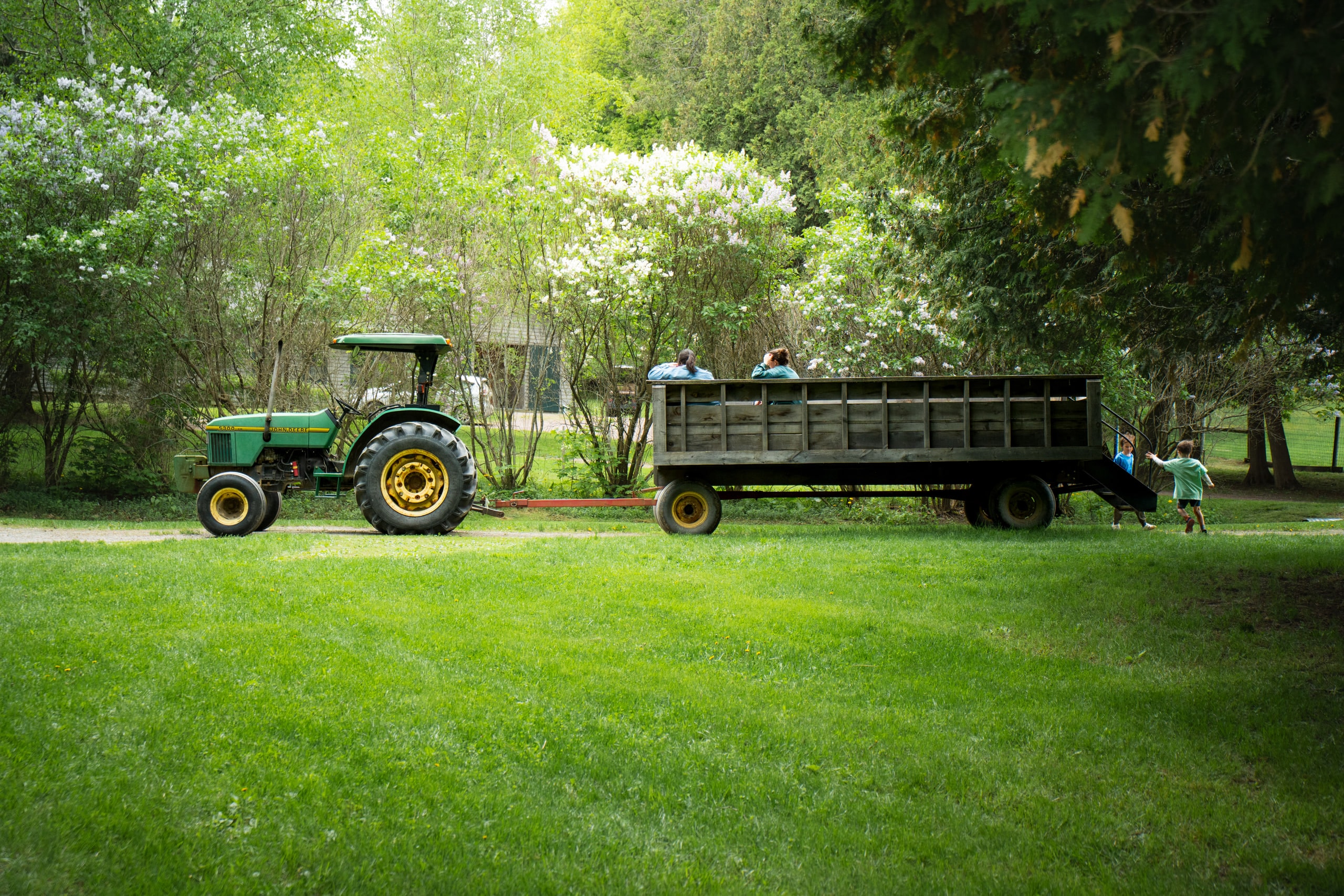 A green tractor and wagon parked on grass among trees